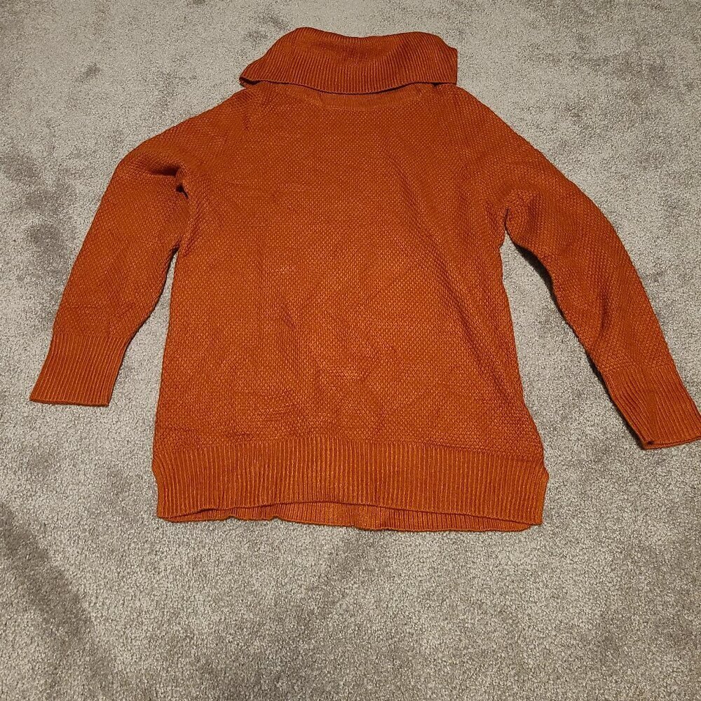 🥵 NWOT turtleneck sweater